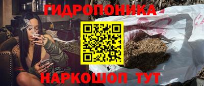стаф Будённовск