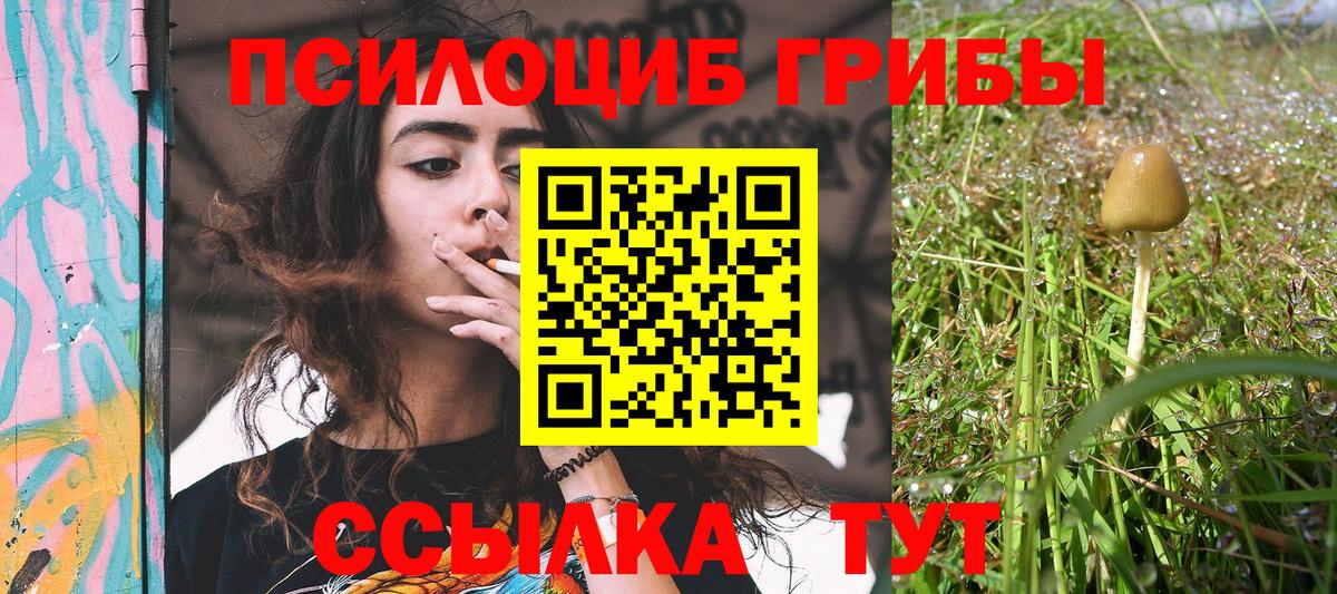Псилоцибиновые грибы Psilocybe  Вход с VPN  Бирск  Галлюциногенные грибы Psilocybe 